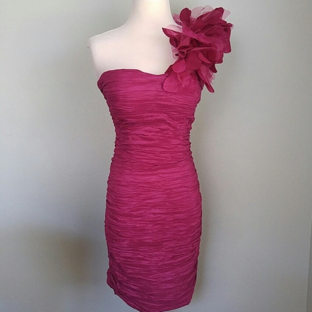 Magenta dress